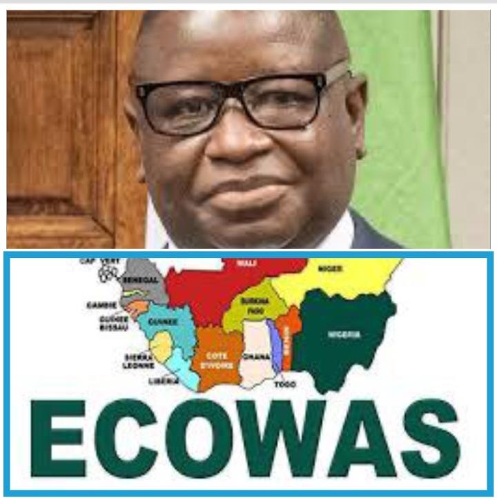 President Bio, top, and ECOWAS countries