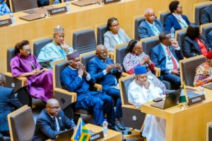 VP Shettima and others
