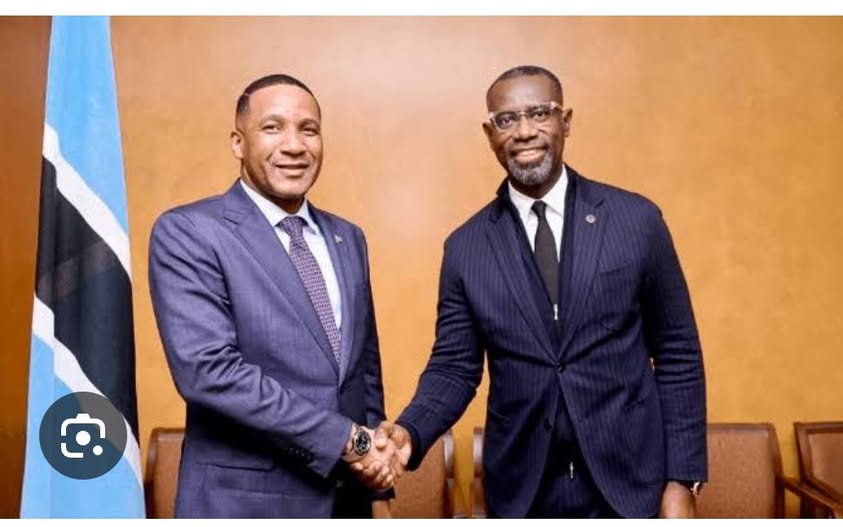 President of Botswana appoints Omoboriowo as Vice Chairman, the Country’s Power Corporation