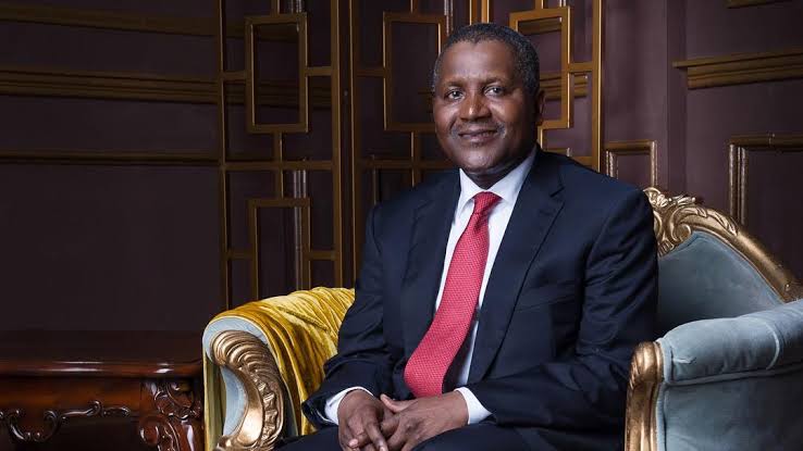 Dangote Targets Steel, Power, Ports in New Industrial Push