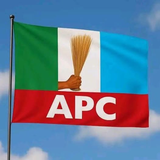 2027 Election: List Of APC Senatorial Candidates So Far