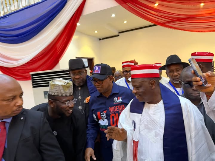 Rabiu Kwankwaso, Peter Obi, Seriake Dickson and others