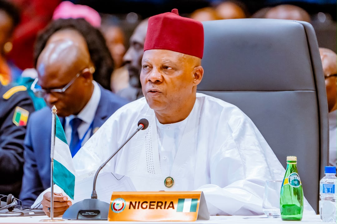 AT 69th ECOWAS MEETING: President Tinubu Demands United Front Against Afro-phobic Attacks In S’Africa
